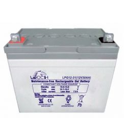 Leoch LPG 12-31