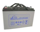 Leoch LPG 12-100